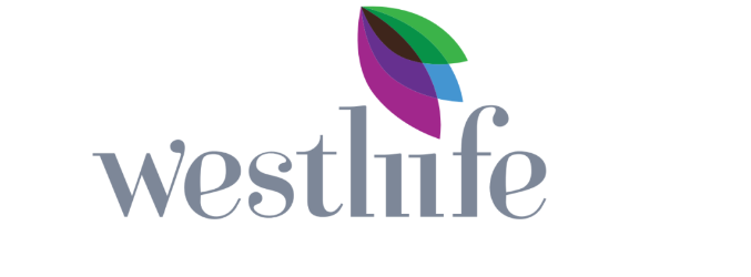 Westlife Developement Limited