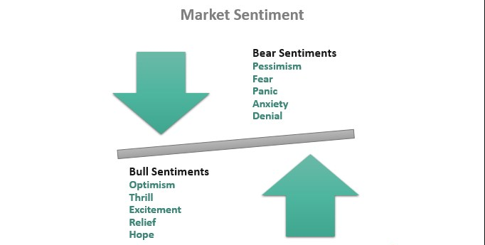Strong Investor Sentiment