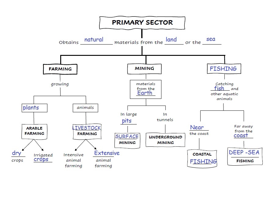 The Role of the Primary Sector in {Share Market}