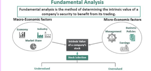 Fundamental Analysis