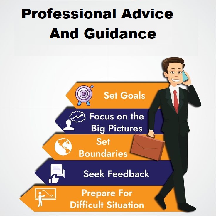 professional {advice and guidance}
