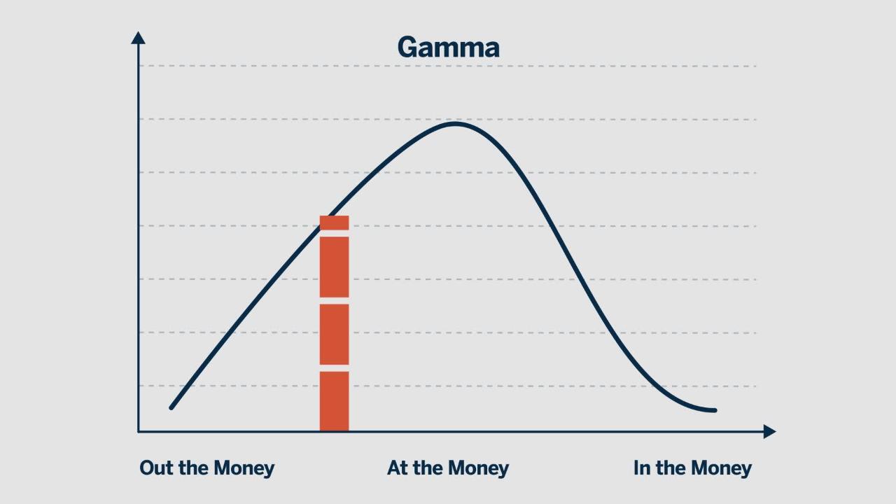 Learn about Gamma